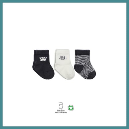 Trendexa NessiWorld 3'Lü Penye Soket Çorap BS10110 Antrasit · Beden: 0-3 Ay · Renk: Antrasit MAC