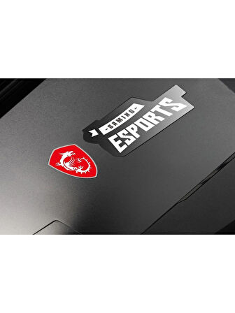MSI Optix MAG251RX 24.5" 240Hz 1ms (HDMI+Display+Type-C) G-Sync Compatible Full HD IPS Oyuncu Monitör (Teşhir)