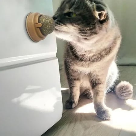 Eğlenceli Kedi Nanesi Oyun Topu 1 Adet