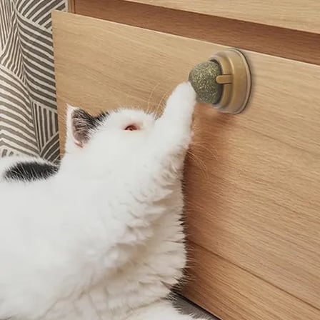 Eğlenceli Kedi Nanesi Oyun Topu 1 Adet