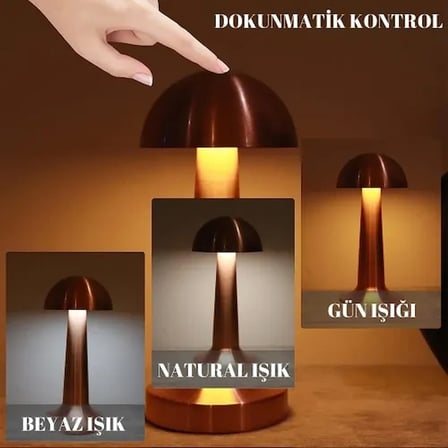 Şık Dekoratif Led Masa Lambası 3 Renk Modlu Ofis İçin