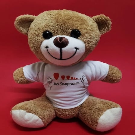 Romantik Peluş 25 cm Seni Seviyorum Temalı