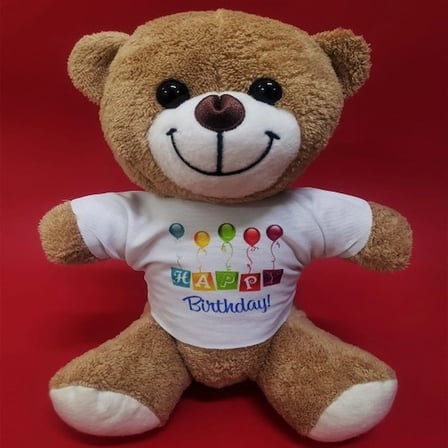 Sevimli Peluş 25 cm Tişörtlü Doğum Günü Hediyesi