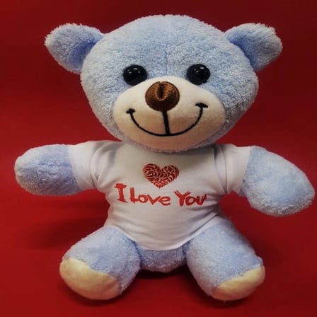 Sevimli Peluş 25 cm I Love You Tişörtlü Hediye