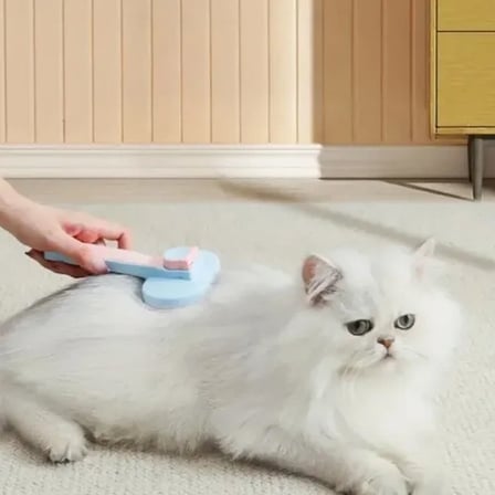 Ergonomik Kendini Temizleyen Tüy Fırçası 1 Adet Kedi ve Köpekler İçin