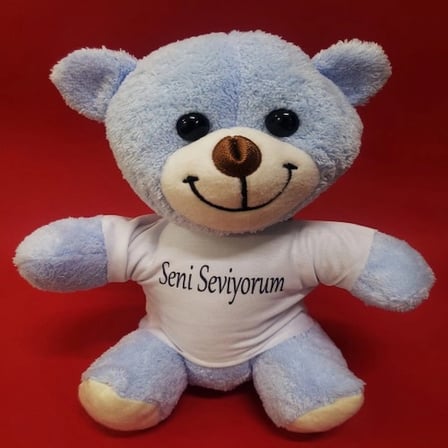 Tişörtlü Peluş 25 cm Seni Seviyorum Hediye