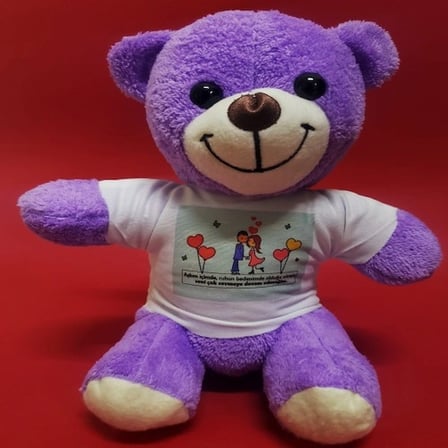 Sevimli Peluş Tişörtlü 30 cm Hediye Seçeneği