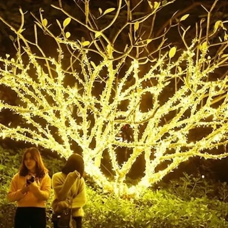 Güneş Enerjili Peri Led 20m 200 Adet Gün Işığı