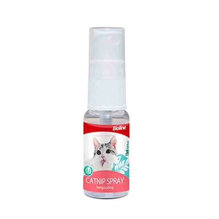 Catnip Kedi Otu Spreyi 15 Ml
