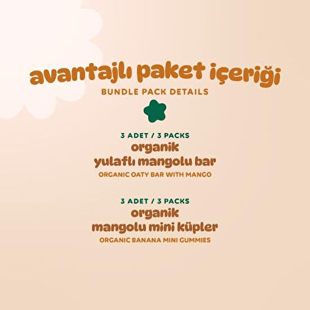 Organik Vegan Mangolu Meyveli Küp & Yulaf Bar Atıştırmalık Paketi - 6 adet (2 çeşit) 