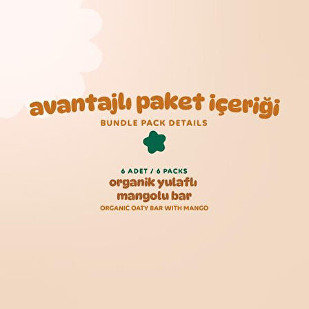 Organik Vegan Mangolu Yulaf Bar - 6 adet