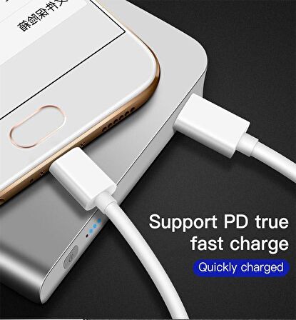 Native Audio 2 Metre Type C to Type C PD 2.0 3 Amper 60W USB Hızlı Şarj Kablosu