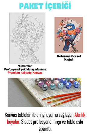 Sayılarla Boyama Çerçeveli Hobi Seti Numaralı Tuval Fırça Boya Dahil Kasnaklı MAVİ KUŞ 40X50 Cm
