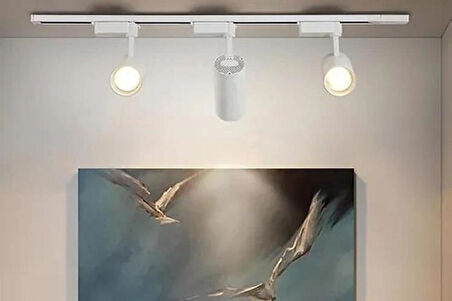 3 Adet Dekoratif Led Ray Spot + 1 Metre Ray Beyaz Kasa Beyaz Işık