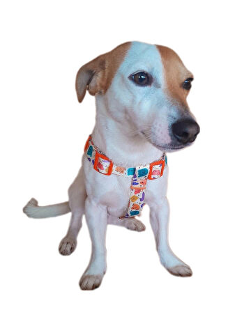 MiaBona Colorful Dogs Model Dijital Baskılı, Renkli Köpek Desenli Göğüs Tasması Harness