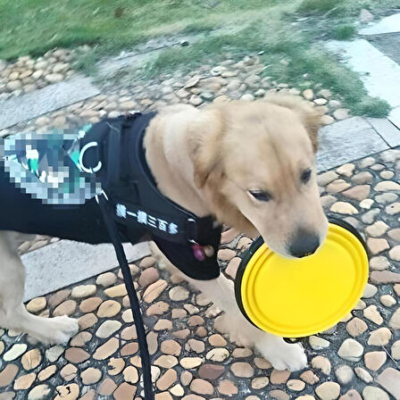 Katlanabilir Kedi Köpek Mama ve Su Kabı Köpek Oyuncağı (Yeşil)