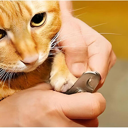 Evcil Hayvan Tırnak Makası Ve Törpü Seti Manikür Pedikür Pati Bakım Aleti Kaymaz Sap