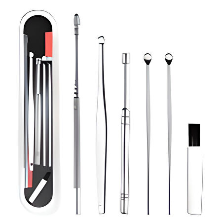 6 Parça Paslanmaz Çelik Kulak Balmumu Toplayıcı Çıkarıcı Temizleyici Bakımı Çubuk Seti