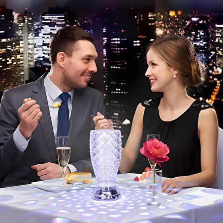 Balık Süzgeç Model USB Şarjlı Dokunmatik Kumandalı 16 Farklı Işık Modlu Masa Üstü Kristal Akrilik Lamba Led