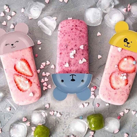 4'lü Kolay Şekillendirici Sevimli Çocuk Meybuz & Dondurma Kalıbı AP-9179