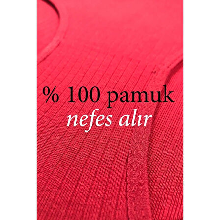 6 Adet Kadın Yüksek Bel Ribana Bato Külot S084