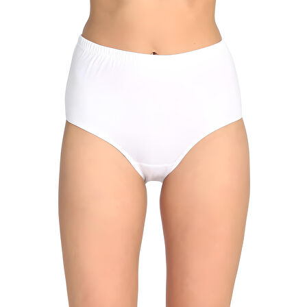 Tutku Kadın Yüksek Bel Bato Kalın Lastik Külot Ten