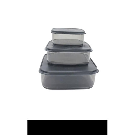 3'lü Yatay Füme Renk Saklama Kabı Royaleks-VİV-OX258