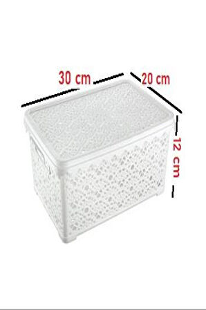 Büyük Motifli Kapaklı Kutu Royaleks-TİM136