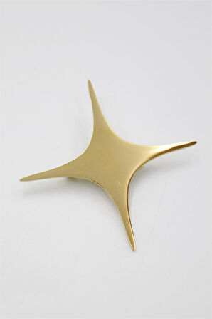 Çelik Yıldız Broş - Altın