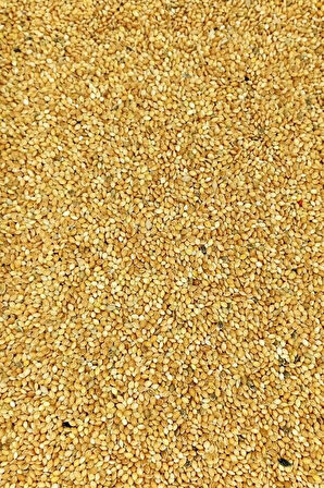 Muhabbet ve Tüm Egzotik Kuşlar İçin Doğal Taze Tane Sarı Darı - 3 kg