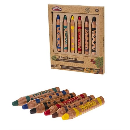 PLAY-DOH 6 RENK 2 İN 1 NATUREL BOYA CR009