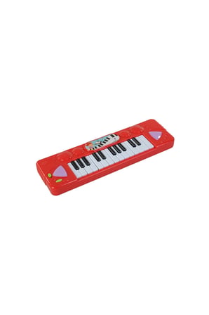 CAN FL9302 KUTULU PİLLİ PİANO 425.0095