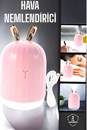Aromaterapi Hava Temizleyici Buhar Makinesi Taşınabilir Şarjlı