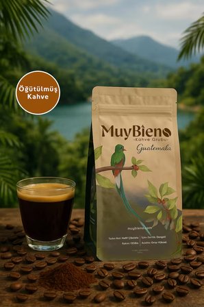 Guatemala Huehuetenango Öğütülmüş Filtre Kahve 250 gr