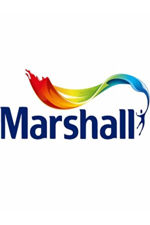 MARSHALL SU BAZLI PANEL KAPI BOYASI 1 LT BW BAZ BEYAZ