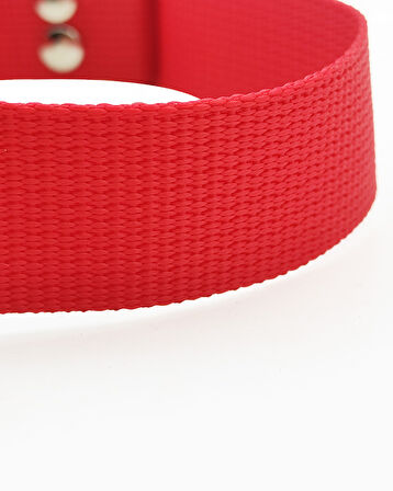 Ayarlanabilir Köpek Tasması Kırmızı