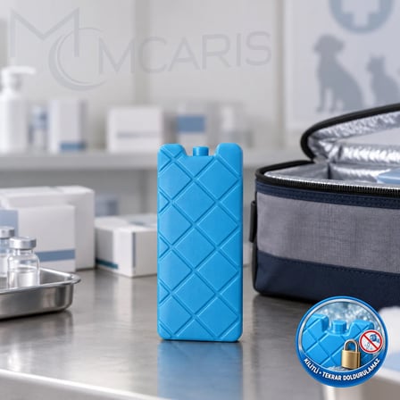 Kilitli Buz Aküsü - Dondurucu Buz Kasedi Ice Box Soğutucu Blok (Mavi) (Kargo Hariç)