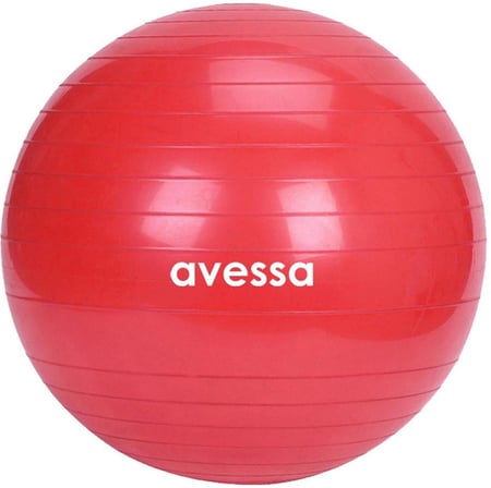 Özel Üretim Ev Sporu Fitness Egzersiz BPT-55 Red 55 cm Plates Topu Poşet Ambalaj Kırmızı