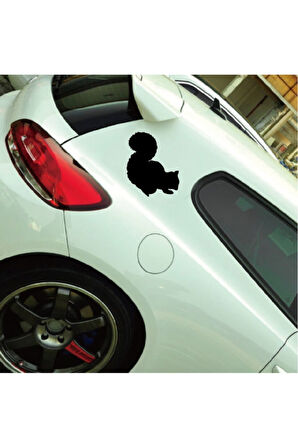 Sevimli Sincap Tasarım Oto Sticker Siyah 10*10 Cm