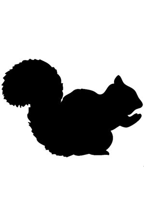 Sevimli Sincap Tasarım Oto Sticker Siyah 10*10 Cm