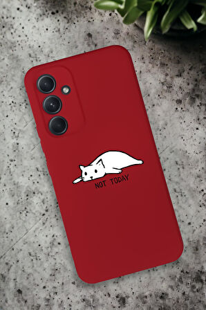 Samsung Galaxy A54 Uyumlu Not Today Desenli Premium Silikonlu Lansman Telefon Kılıfı