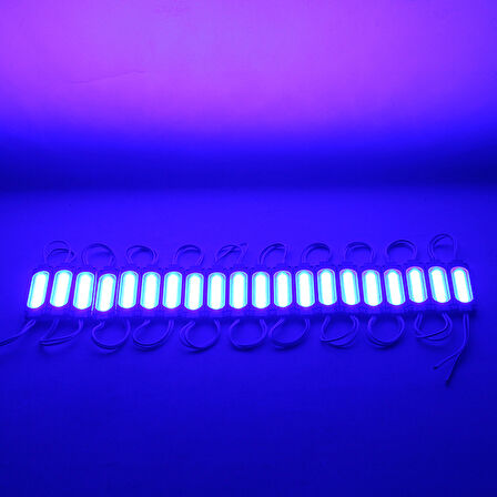 12 VOLT 2 WATT MAVİ MODÜL LED 68X16 MM (4767)