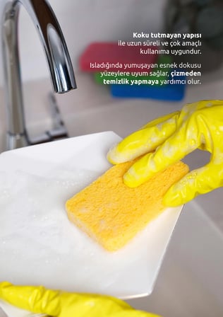 Avantajlı Set (Leke Çıkarıcı - Telli Bez - Selüloz Sünger)