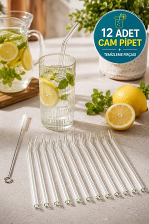 12'li Cam Pipet Seti 20 cm Eğik Borosilikat Cam Pipet + Temizleme Fırçası Şeffaf Tekrar Kullanılabilir
