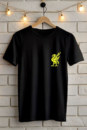 Baskılı Unisex Oversize Tişört Battal Boy