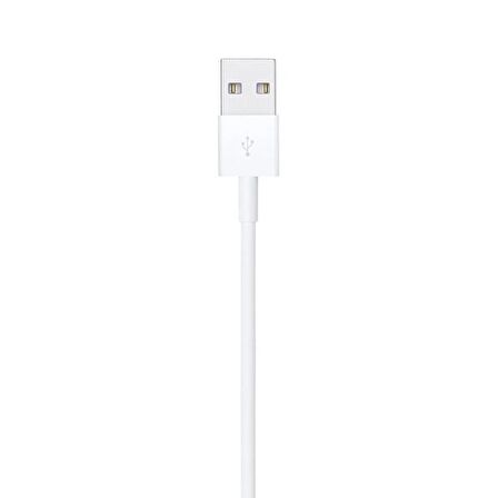 Apple MD819ZM/A Lightning USB Kablosu, 2 m