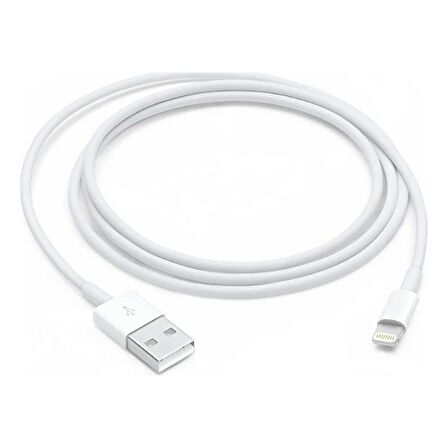 Apple MD819ZM/A Lightning USB Kablosu, 2 m