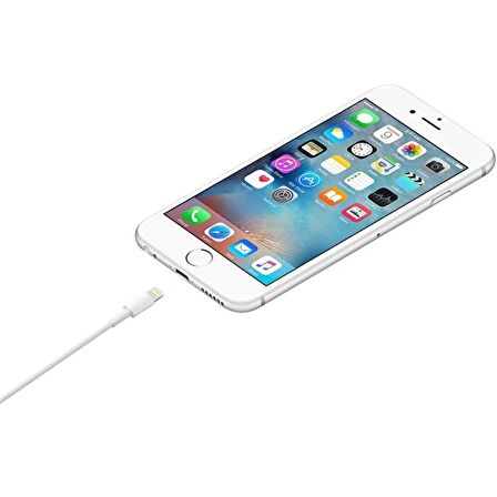 Apple MD819ZM/A Lightning USB Kablosu, 2 m