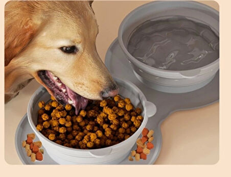 Mikopet Katlanabilir İkili Mama ve Su Kabı