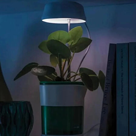 MDB Hızlı Bitki Yetiştirme Saksısı